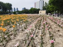 -中国农业博物馆