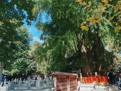 -潭柘寺景区