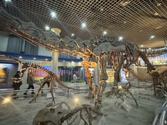 -国家自然博物馆