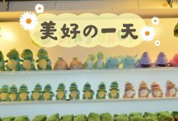 -恐龙探索乐园(磁器口店)