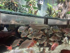 -太平洋海底世界