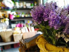 -桂林市花鸟市场