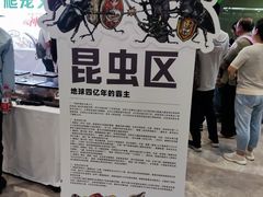 -中国宋庆龄青少年科技文化交流中心