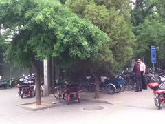 -紫竹院公园冰场
