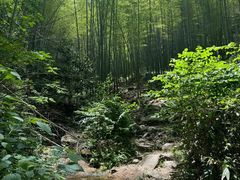 -梧桐山风景名胜区