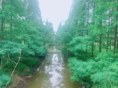 -黄海国家森林公园