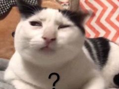 -长藤鬼校(龙翔店)