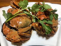 醉花雕太湖六月黄-呼吸森林·生态农庄农家乐私房菜