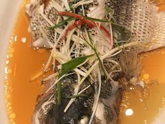 -眉州东坡(北苑华贸店)