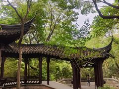 -上海佘山国家森林公园天马山园