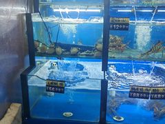 -老东镇啤酒屋海鲜加工·蒸汽海鲜·海鲜烧烤(台东店)