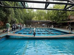 -杭州宋城