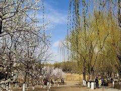 -大兴滨河森林公园