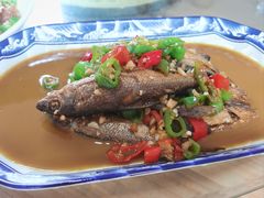 瑶河小鱼-瑶河山里菜