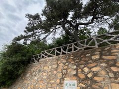 -北京西山国家森林公园