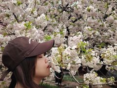 -西安青龙寺遗址景区