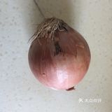在锅中摊成蛋饼，放在米饭上，再浇上做好的咖喱鸡块