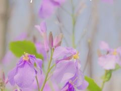 -白塘生态植物园