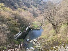 -西安祥峪森林公园
