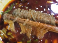 红油肥肠粉-甘记肥肠粉(马鞍北路店)