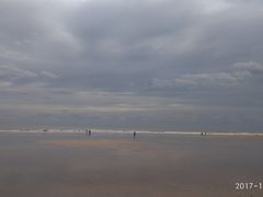 -日照海滨国家森林公园