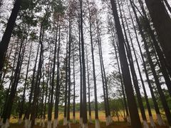 -艾溪湖湿地公园