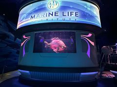 -海底巡游艇:尼莫和好友的海洋世界