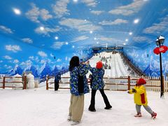 -世界之窗阿尔卑斯冰雪世界