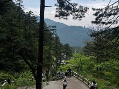 -九华山风景区