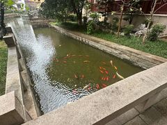-苏州吴宫泛太平洋酒店