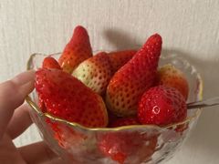 -金贝儿月嫂(高新尚品国际店)