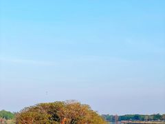 -海珠湖公园