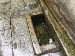 -白沙古井