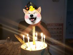 -安妮贝可生日蛋糕(市中万达店)