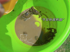 -鹦鹉洲湿地公园