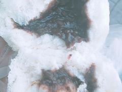 -蓉园大包(旅游村店)