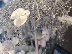 -满汉楼(江畔店)