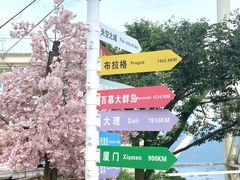 -仙岛湖旅游风景区