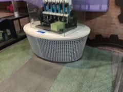 -东莞市科学技术博物馆