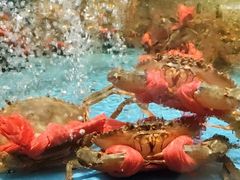 -阿伟海鲜楼·福建菜(延寿店)