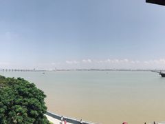 -大湾区中央湿地公园