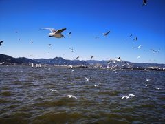 -滇池海埂公园