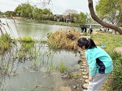 -九里河湿地公园