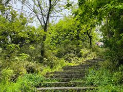 -杭州半山国家森林公园