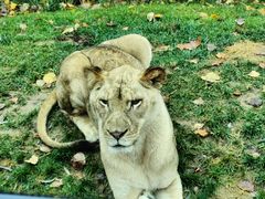 -北京野生动物园