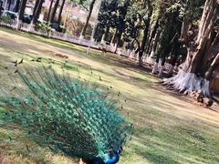 -西昌邛海宾馆