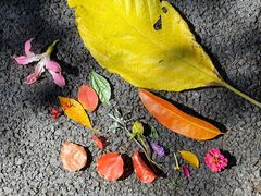 -云溪植物园