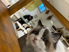 -小时光咖啡馆(北锣鼓巷店)
