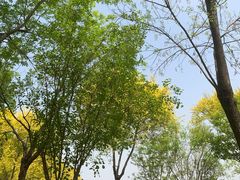 -东郊湿地公园
