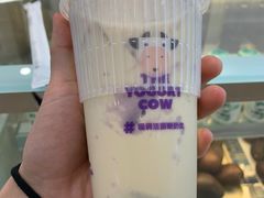-一只酸奶牛(来福士店)